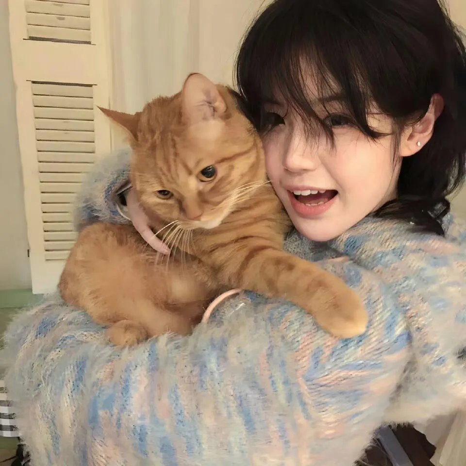 警视厅零系：生活安全科万能咨询室第五季